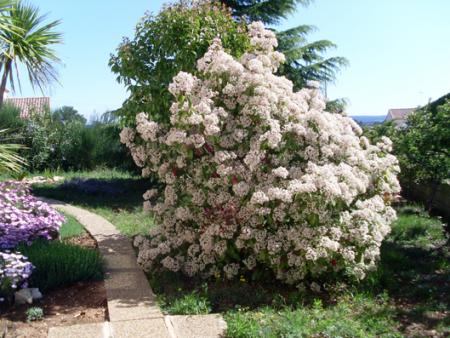 VIVRE PRES D' EUX ET AVEC EUX