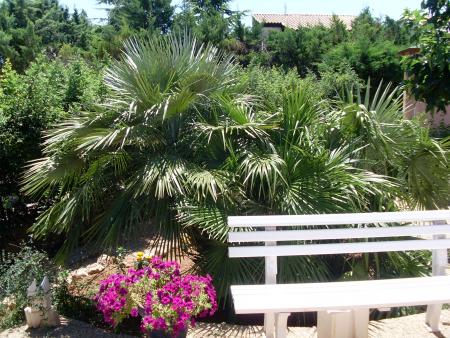 MERCI PERE DE PROTEGER MON JARDIN