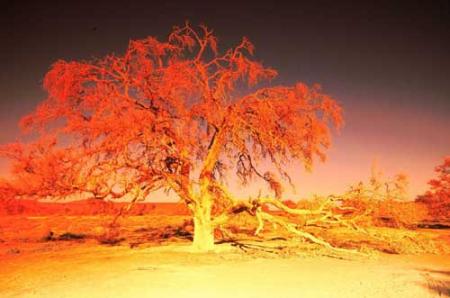 Je viens d'�tre tagu�e