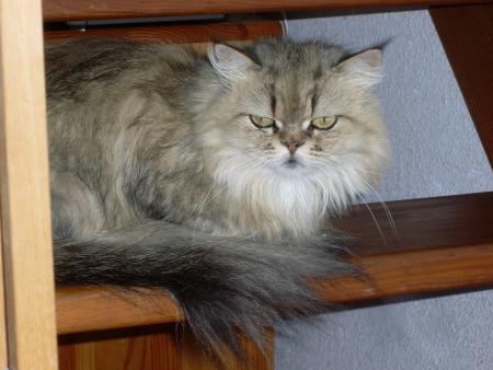 Mes Vacances rien que pour vous