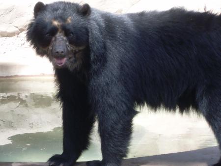 MON VOYAGE A BUENOS AIRES