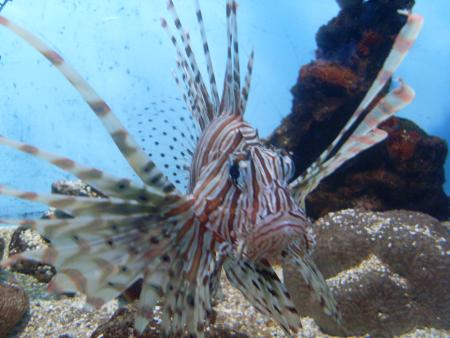 MON VOYAGE A BUENOS AIRES