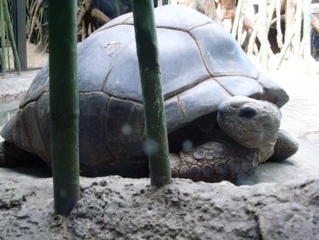 MON VOYAGE A BUENOS AIRES