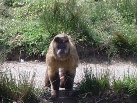 MON VOYAGE A BUENOS AIRES