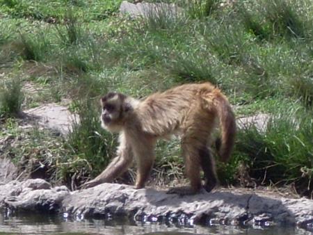 MON VOYAGE A BUENOS AIRES