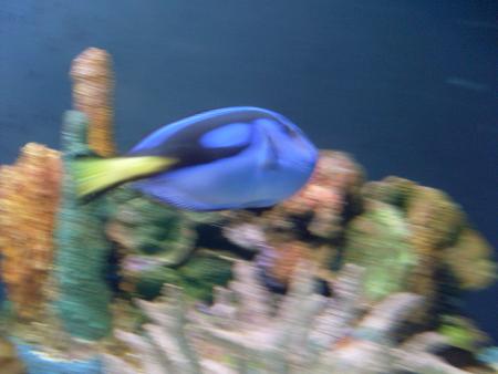 MON VOYAGE A BUENOS AIRES