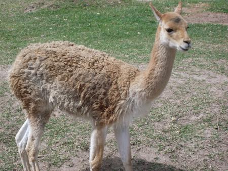 MON VOYAGE A BUENOS AIRES