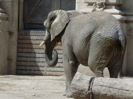 MON VOYAGE A BUENOS AIRES