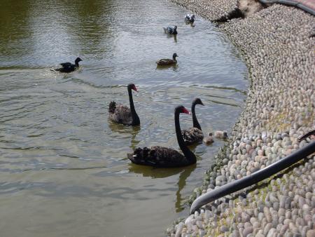 MON VOYAGE A BUENOS AIRES