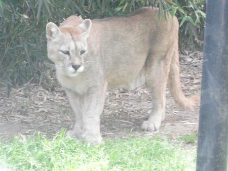 MON VOYAGE A BUENOS AIRES