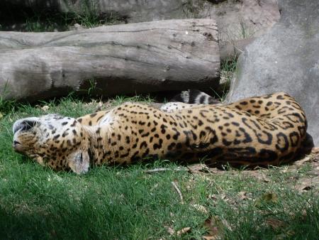 MON VOYAGE A BUENOS AIRES