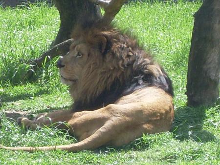 MON VOYAGE A BUENOS AIRES