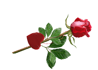 MON PERE :CE GRAND JARDINIER