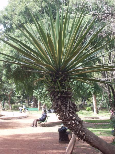 MON VOYAGE A BUENOS AIRES