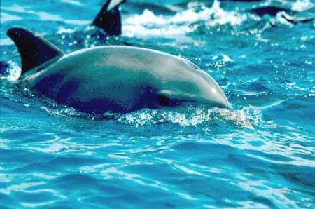 UNIVERS OUVRE-TOI chapitre 10